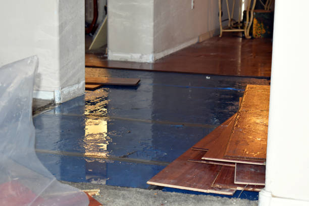 Professional Burst Pipe Cleanup technician working in New Site, MS