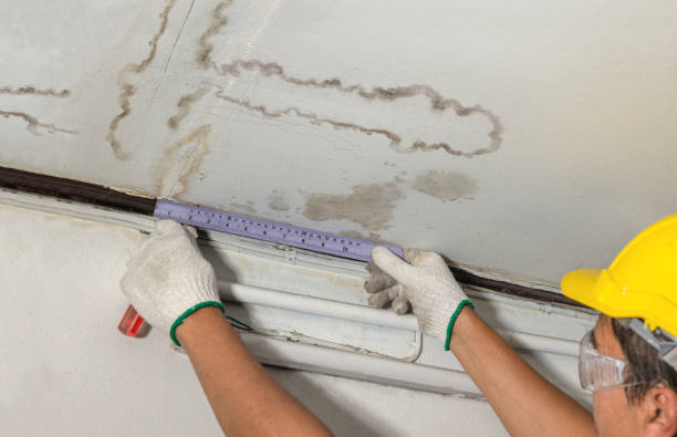 Reliable Burst Pipe Cleanup contractor in New Site, MS by Local Water Damage Repair